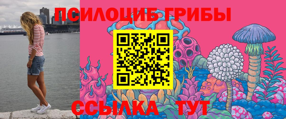 Псилоцибиновые грибы мухоморы Каменск-Шахтинский