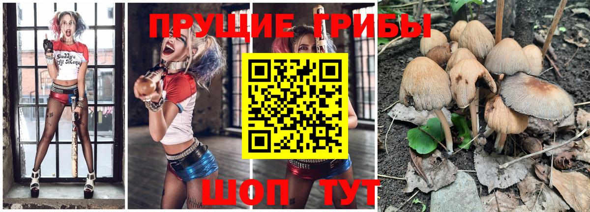 Псилоцибиновые грибы Magic Shrooms  Вход с VPN  где можно купить   Каменск-Шахтинский  Псилоцибиновые грибы Psilocybe 