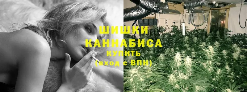 Бошки марихуана индика  даркнет телеграм  Каменск-Шахтинский 